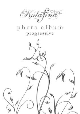 progressive photo album
Cover of the progressive photo album
Keywords: kalafina progressive 2010 photo album pamphlet